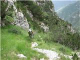 Creta Grauzaria na drugi strani gore pa pravo nasprotje, stezica v zelenju