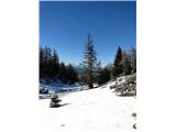 Zimski utrinek na poti med vrhom Dobrče in Šentanskim vrhom