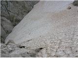 strmo snežišče na hanzovi(slika je bila posneta 17.08.2009)