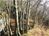 Spodnja Idrija - Gradišče (above Spodnja Idrija)