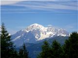 Aosta, Italija 2dan: Pogled na Mont Blanc med smrekami