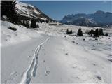 Giro delle Malghe Snežna prostranstva Pecola - Altipano del Montasio