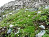 Franz-Josefs-Hohe - Großglockner