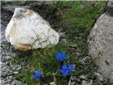 Franz-Josefs-Hohe - Veliki Klek/Großglockner