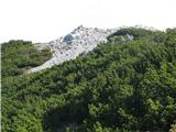 Kališče - Bašeljski vrh-Mali Grintovec-Srednji vrh Mali Grintovec