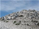 Kališče - Bašeljski vrh-Mali Grintovec-Srednji vrh 