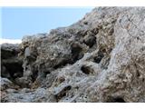 termitnjak na začetku grebenske poti