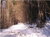 Potoška vas - Sveta planina (Partizanski vrh)