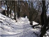 Potoška vas - Sveta planina (Partizanski vrh)