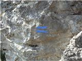 Plave oznake, ki se pojavljajo od V. vrha do Zg. Pavličevega kogla