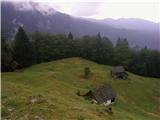 Po Bohinjskih planinah (Krstenica, Gritnovca, Voje, Uskovnica) 