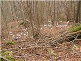 Odlagališča odpadkov v hribih Ne samo kosovni material tu se nahaja tudi več kot 100 plastenk (ob cesti Zagrad - Velika vrata).