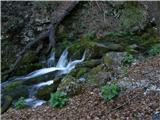 Tišenpolj - Source of Nežica