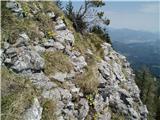 Žekovec - Boskovec