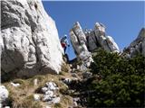 Snježnik in Risnjak Pot Snježnik - Risnjak.