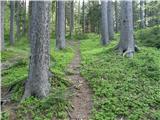 Planina pod Golico - Rosenkogel/Hruški vrh