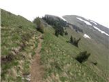 planina_pod_golico - Kahlkogel/Golica