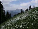 Ravne - Planina Dovška Rožca