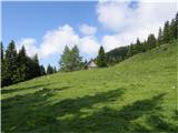 Boskovec 1587m (Golte) Hleviška planina.