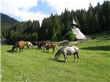 Boskovec 1587m (Golte) Mozirska planina.