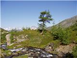 Dösner Alm - Säuleck