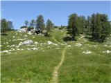 Prednje Robičje 1941m Še zadnji klanec in bova na vrhu.