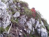 Rušnata Mlinarica (1777m) Odtrgana jeklenica, bistveno lažje se je povzpeti ob robu rušja.