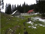 Pečana - Planina Pečana