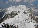 Veliki snežni vrh - Cima Mogenza Grande (1973) Jerebica zJalovcem v ozadju