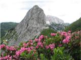 Monte Zermula in Zuc della Guardia Zuc della Guardia, zadaj desno Creta di Aip-Veliki Koritnik-Trogkofel