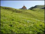 Planina Dovška Rožca