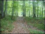 The Kot Valley - Mali Triglav