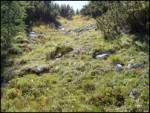 Planina Blato - Rušnata glava