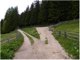 Koprivna (Kumer) - Planina Zgornja Luža