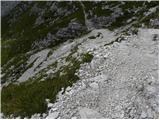 Piano Fiscalino / Fischleinboden - Croda Fiscalina di Mezzo / Oberbachernspitze