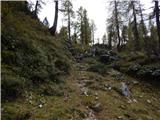 Konec ceste na Vogar - Planina Dedno Polje