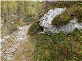 End of road on Vogar - Planina Dedno Polje