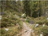 Planina Blato - The lake Rjavo jezero