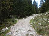 Planina Blato - The lake Rjavo jezero