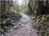 Planina Blato - Rjavo jezero