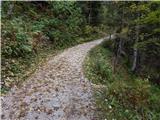 Planina Blato - Zeleno jezero