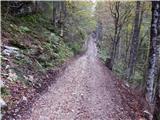 Planina Blato - Vodnikov Vršac (Vršac nad Zadnjico)