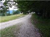 Uskovnica (Lom) - Planina pod Mišelj vrhom