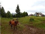 Uskovnica (Lom) - Planina pod Mišelj vrhom