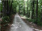 Otočec - Sveta Marija (Trška Gora)