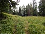 End of road on Pokljuka - Viševnik