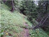 End of road on Pokljuka - Viševnik