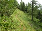 End of road on Pokljuka - Viševnik