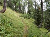 End of road on Pokljuka - Viševnik