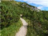 End of road on Pokljuka - Viševnik